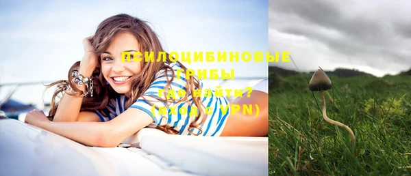 ГАЛЛЮЦИНОГЕННЫЕ ГРИБЫ Алзамай