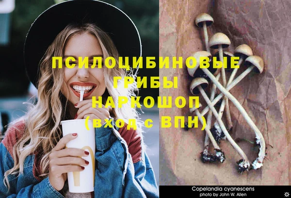 гидра Алексеевка