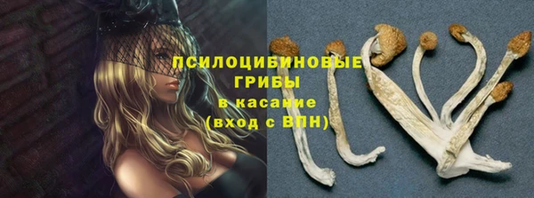 ГАЛЛЮЦИНОГЕННЫЕ ГРИБЫ Алзамай