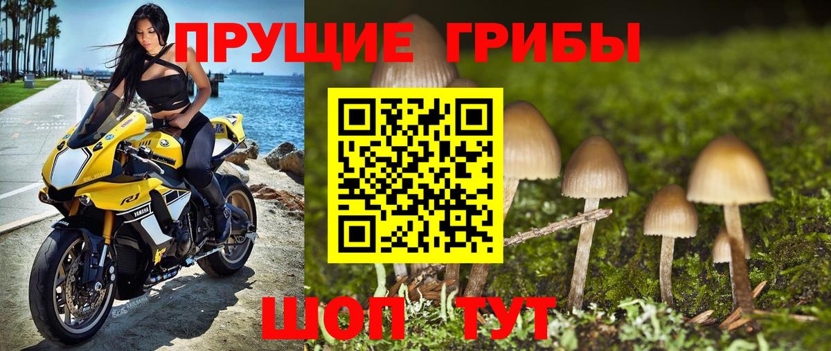 Галлюциногенные грибы GOLDEN TEACHER  Галлюциногенные грибы прущие грибы  хочу наркоту  Вход с VPN  Невинномысск 