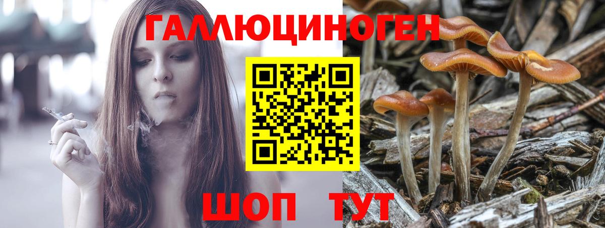 Галлюциногенные грибы мицелий Невинномысск